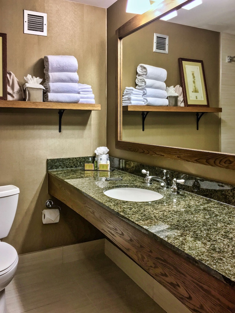 DoubleTree by Hilton Libertyville Mundelein - photo 15