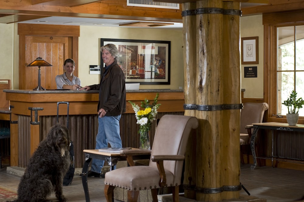 Inn at Lost Creek - photo 4