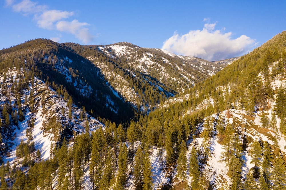 Bear Creek Resort - photo 17
