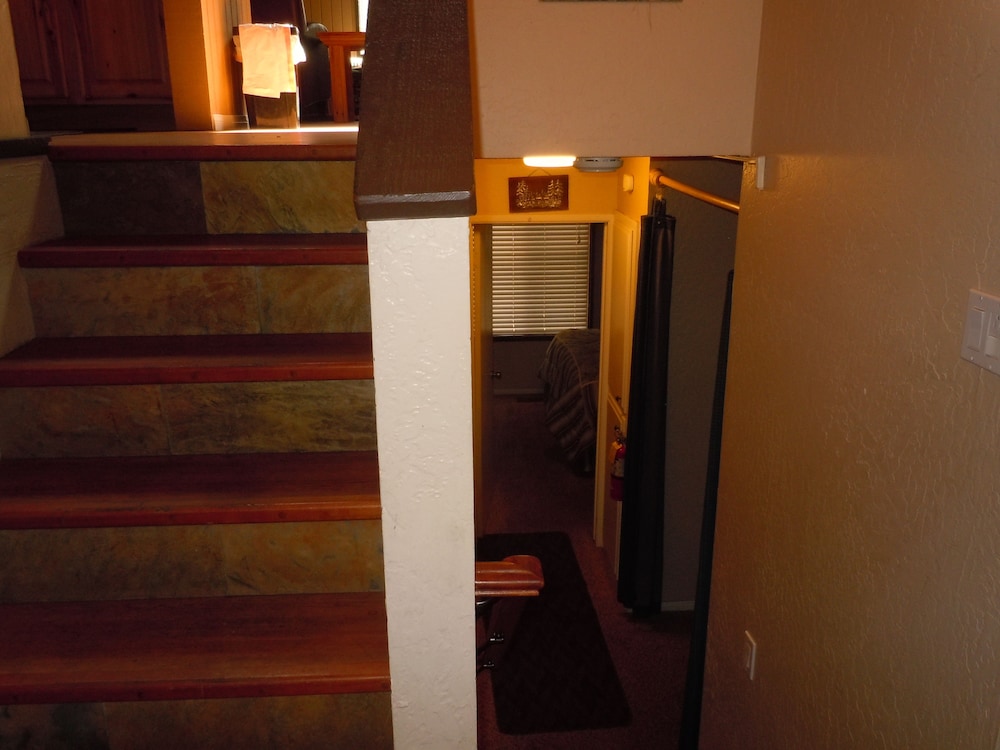 Escape For All Seasons - photo 265