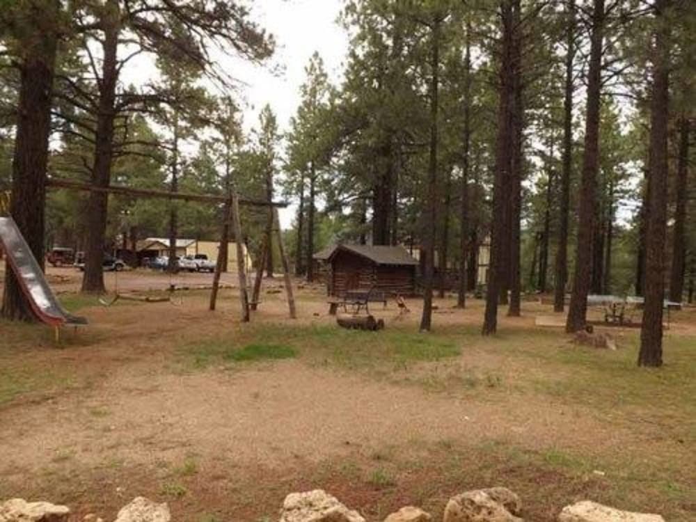 Arizona Mountain Inn and Cabins - photo 306