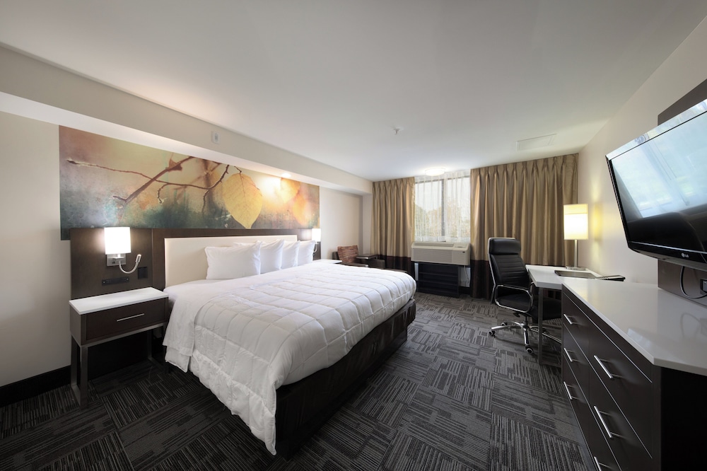 Holiday Inn Brookfield Milwaukee by IHG - photo 23