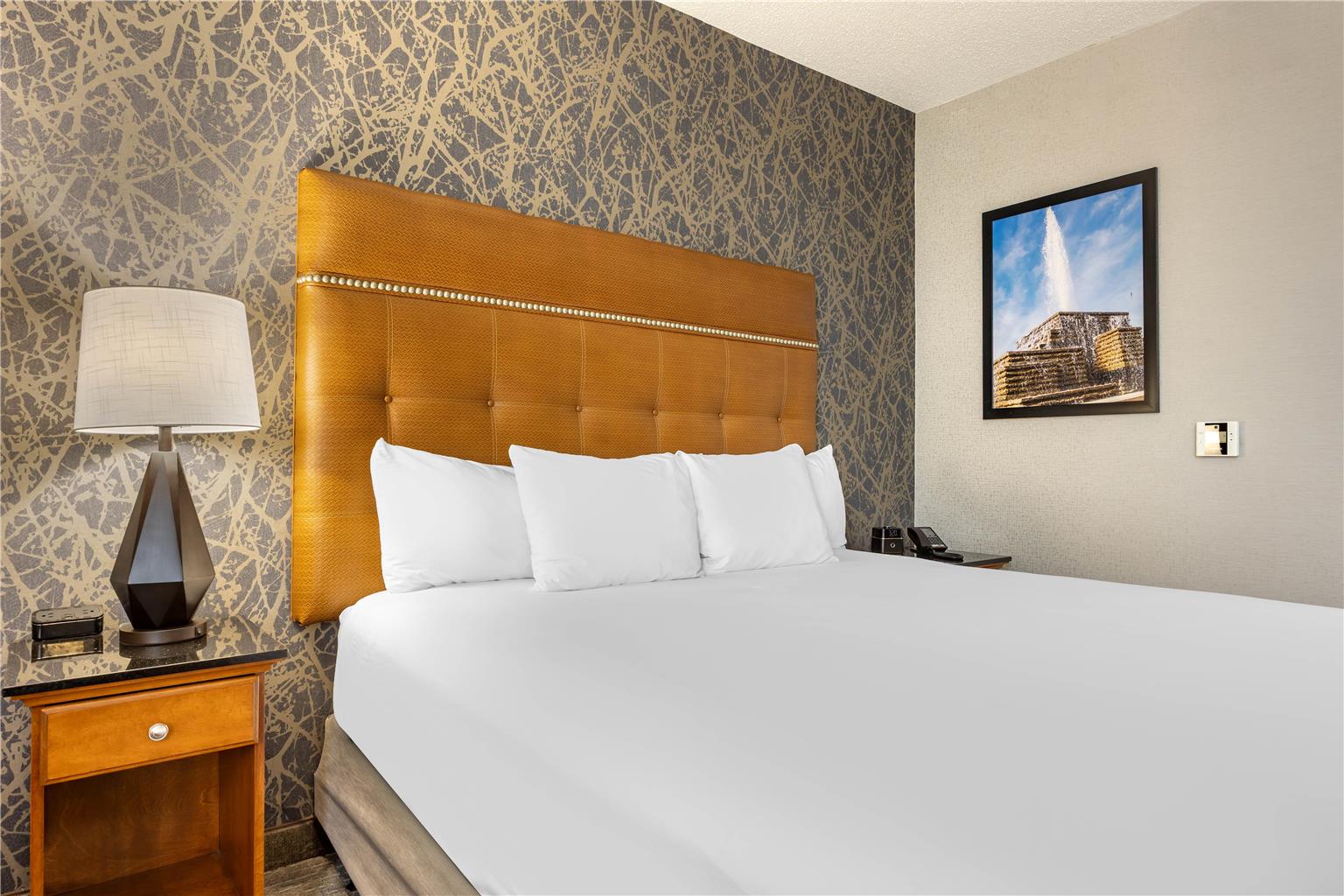 Drury Inn & Suites Springfield MO - photo 27