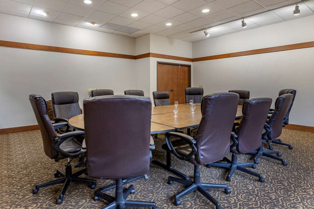 Comfort Inn Okemos East Lansing - photo 33