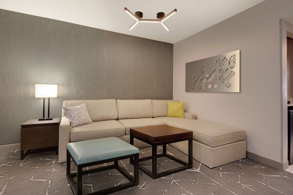 Embassy Suites by Hilton Atlanta Perimeter Center - photo 17