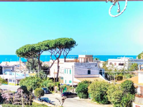 Anzio paradise — Anzio — photo 4