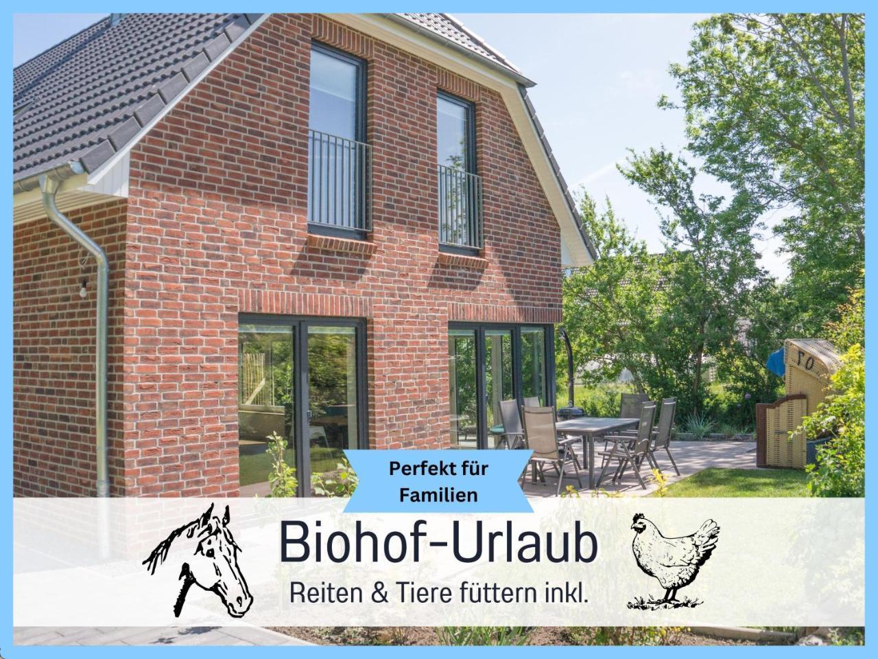 Bio Ferienhof Wichtelweide Ferienhaus Luv mit Sauna in Fehmarn, Germany