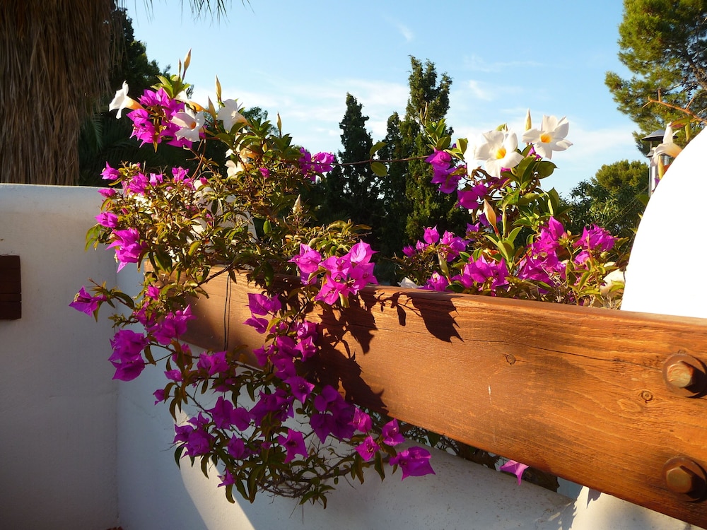 Apartamentos Osa Menor — 4-Star Luxury Hotel in Santanyi, Spain