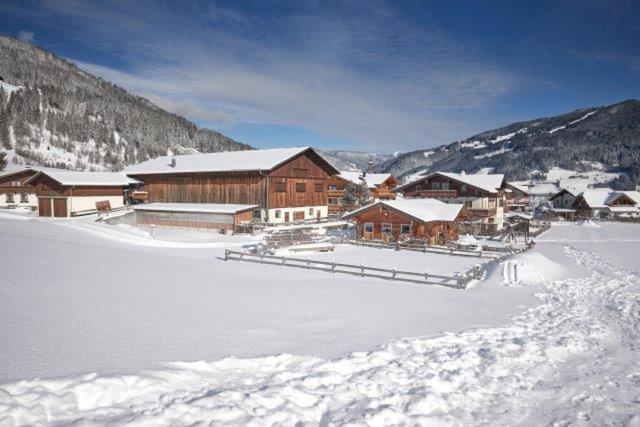 Appartment Ransburggut — 4-Star Luxury Hotel in Flachau, Austria