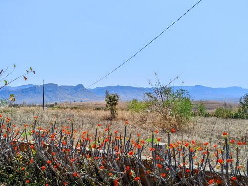 hotel Ristorante Pizzeria Liberta in Ranohira, Madagascar