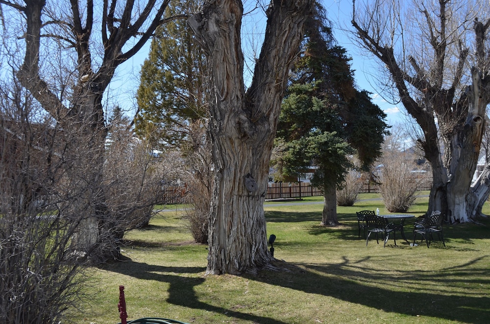 Silver Maple Inn - photo 23