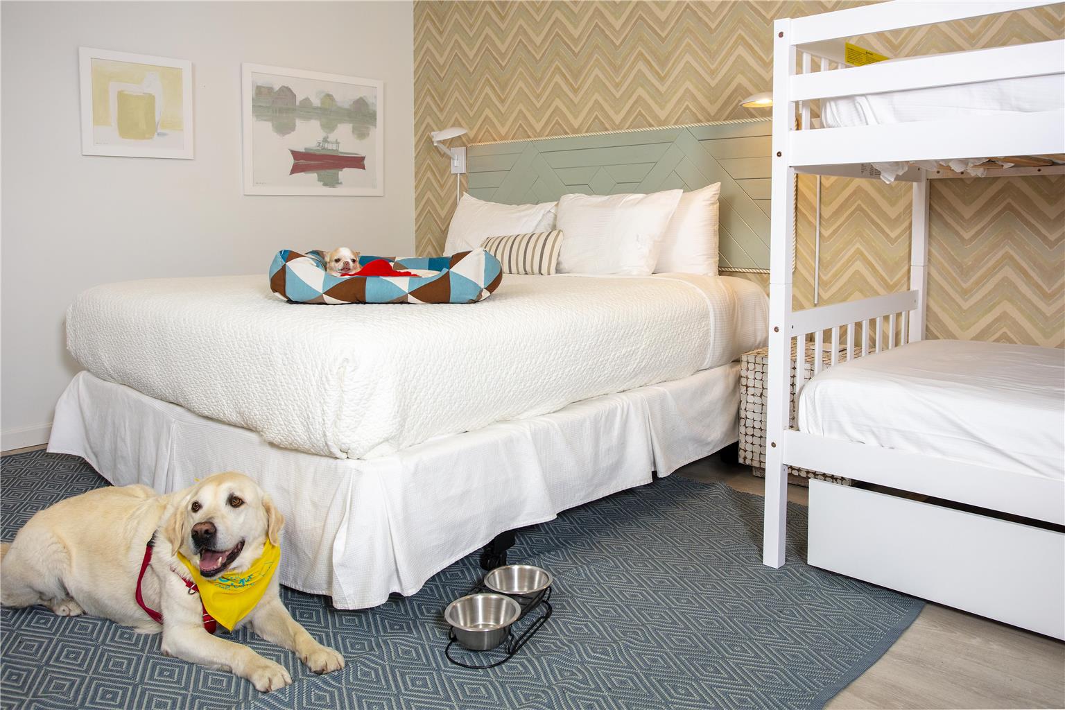 The Lodge at the Cove - photo 43