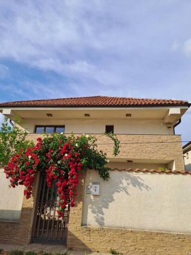 Casa verde 2 — 4-Star Luxury Hotel in Pantelimon, Romania