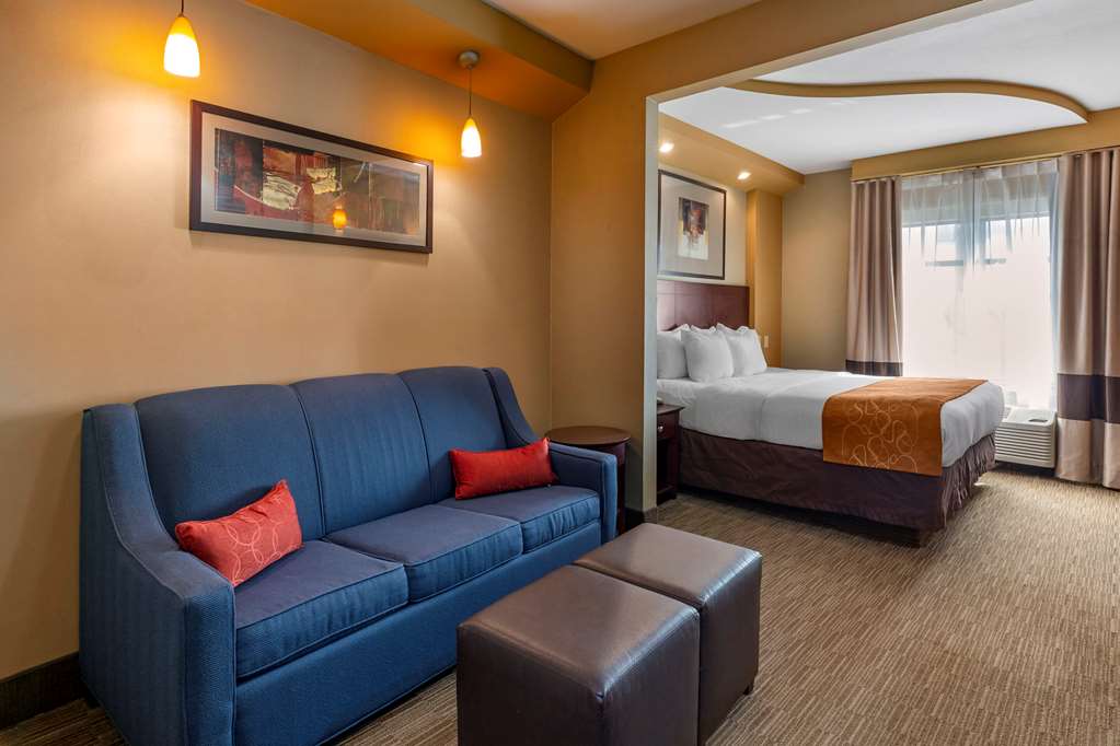 Comfort Suites Perrysburg Toledo South - photo 19