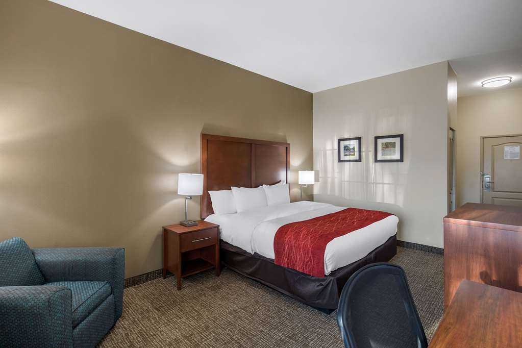 Comfort Inn & Suites Cedar Hill Duncanville - photo 7