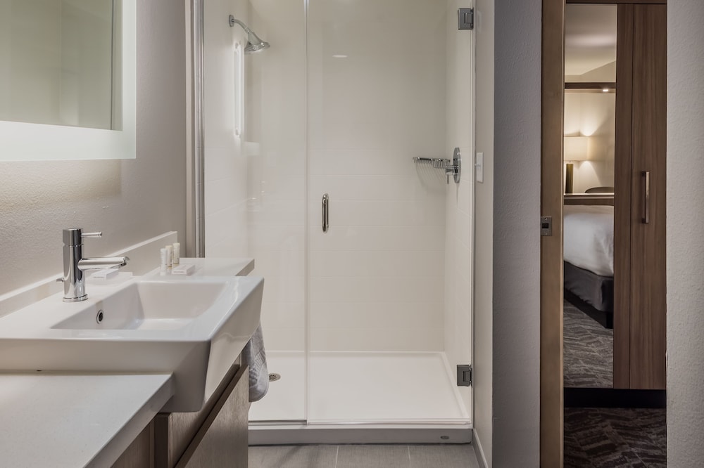 SpringHill Suites by Marriott Fort Worth Historic Stockyards - photo 24