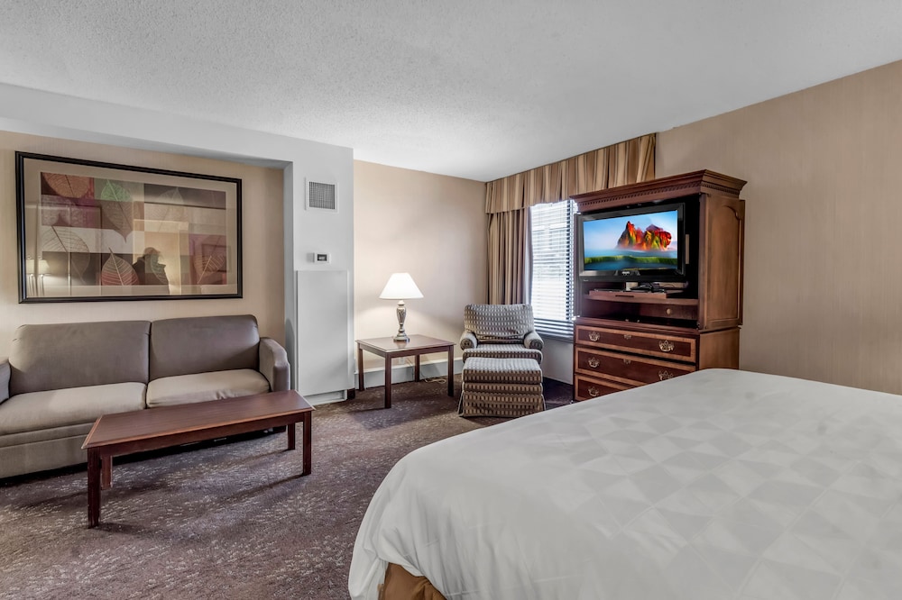 Buffalo Airport Hotel - photo 27