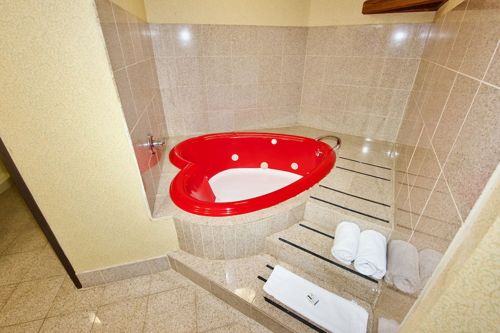 Holiday Inn Express & Suites St. Louis West Fenton by IHG - photo 40