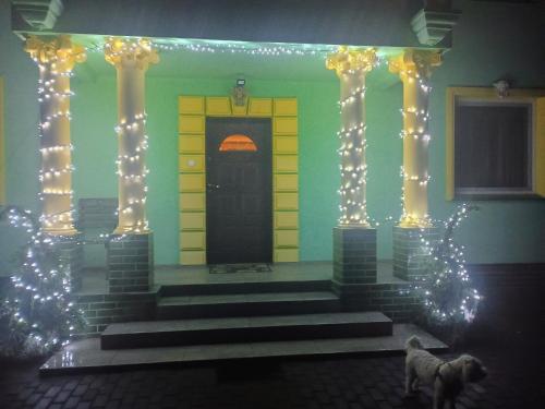 W zieleni in Polanica-Zdroj, Poland