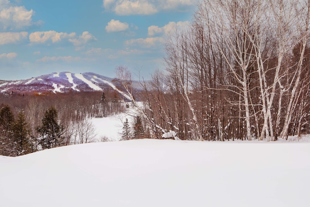 Killington Mountain Lodge Tapestry Collection by Hilton - photo 51