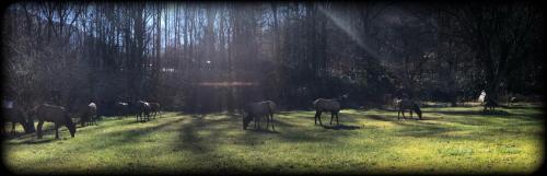 Stony Creek Motel - photo 17