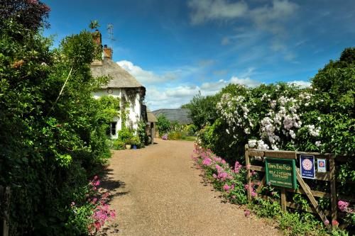 Town End Farm Cottages in Taunton, United Kingdom