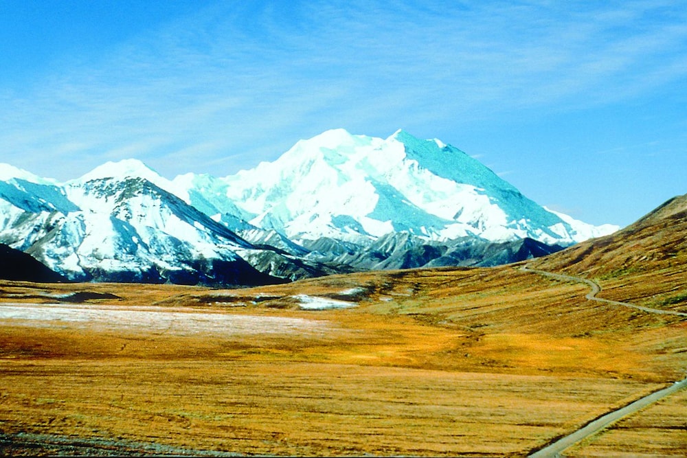Denali Grizzly Bear Resort - photo 32