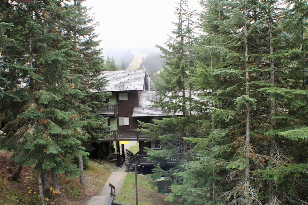 Crystal Chalets Condominiums at Crystal Mountain Ski Resort - photo 179