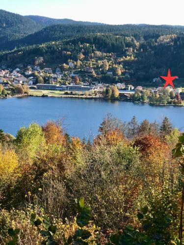 Gerardmer Res Aubepine 100m du Lac Appt 4 Personnes in Gerardmer, France