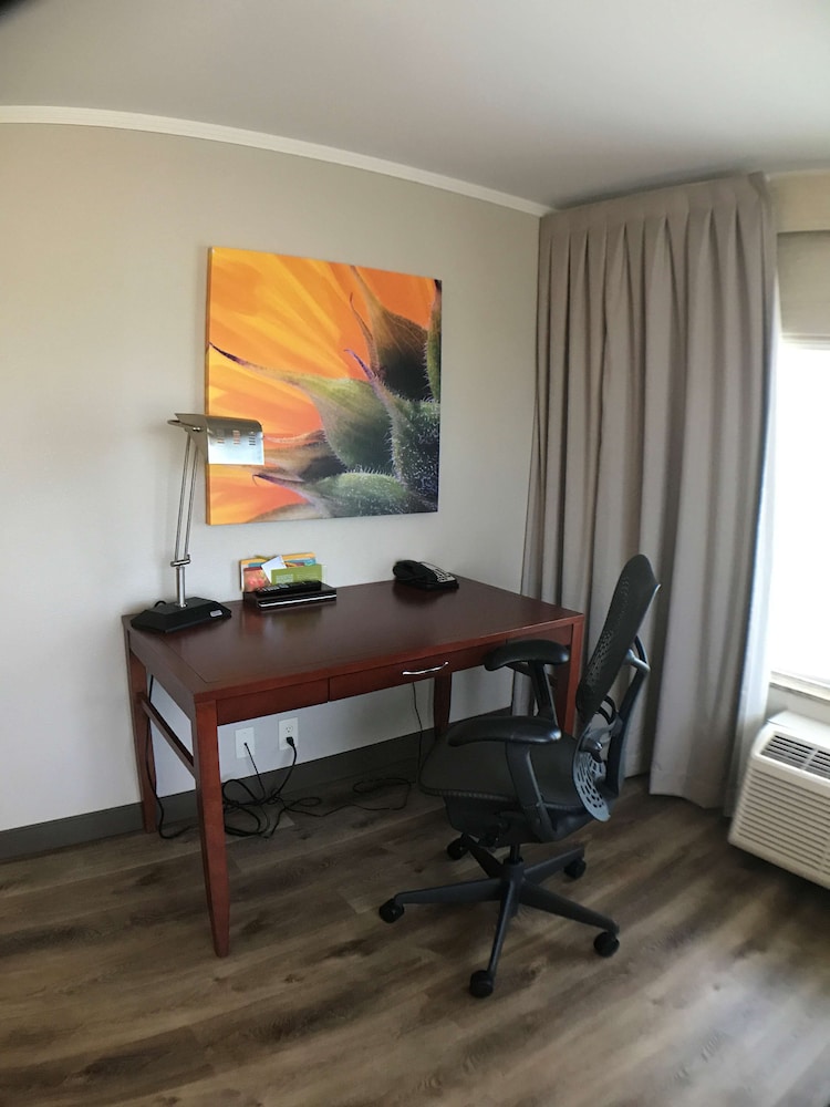 Hilton Garden Inn Bowling Green - photo 19