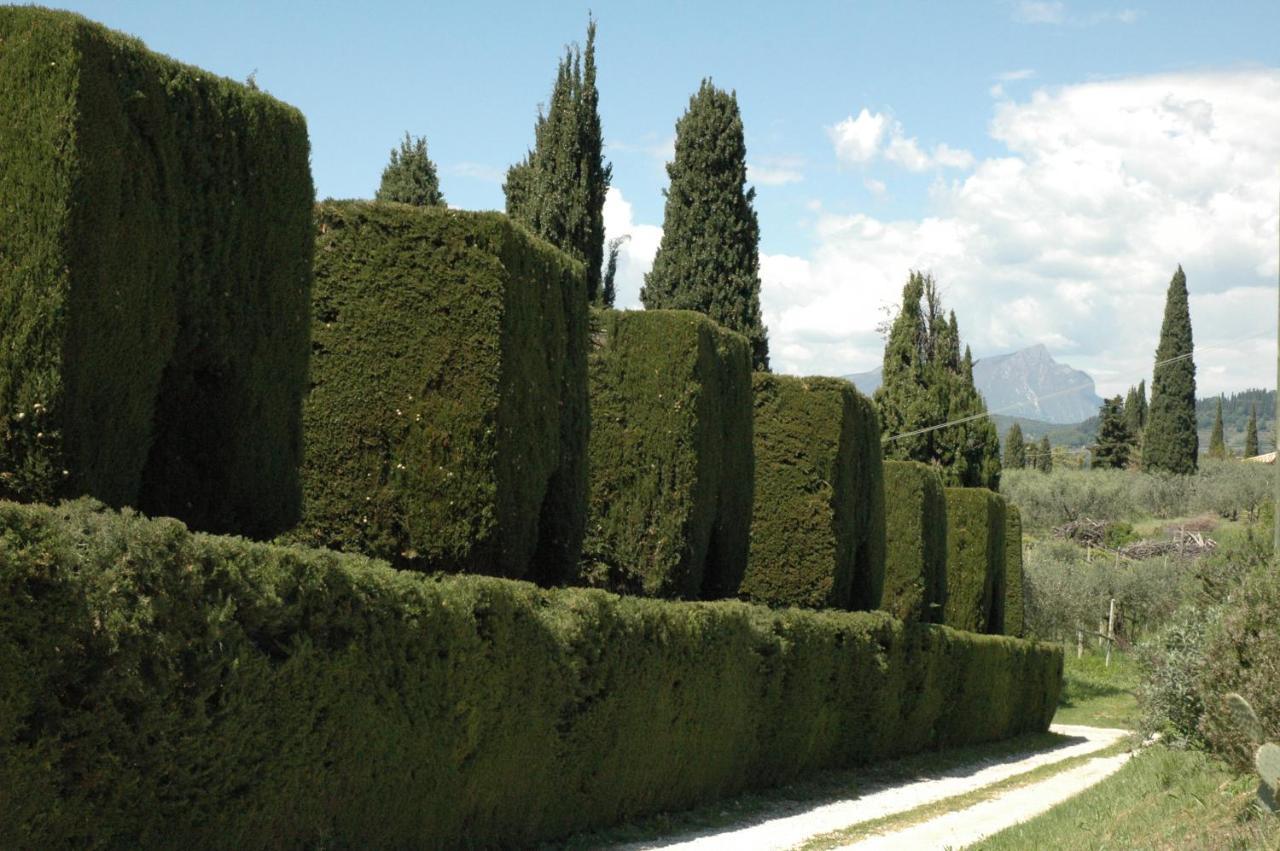 Agriturismo Tenuta La Pergola — 4-Star Luxury Hotel in Bardolino, Italy