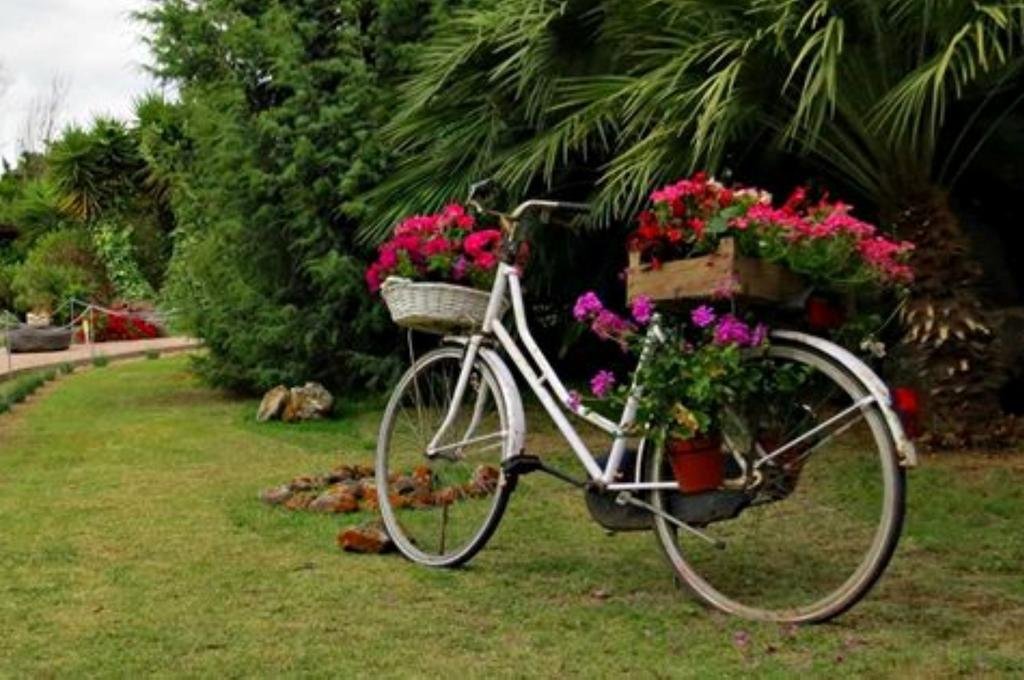 L’orto in San Vero Milis, Italy