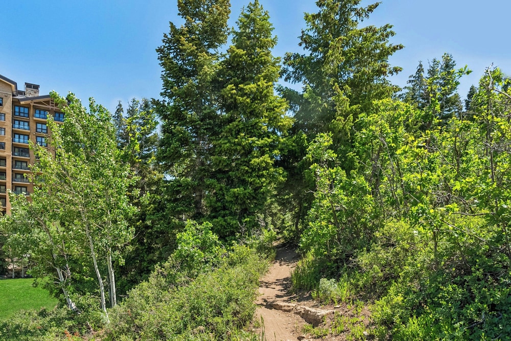 The St. Regis Deer Valley - photo 176