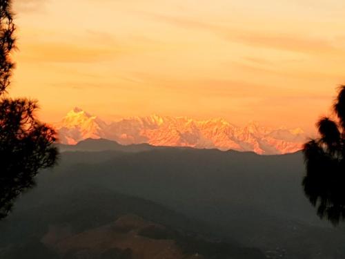 Majestic View & Misty Morning in Ranikhet, India