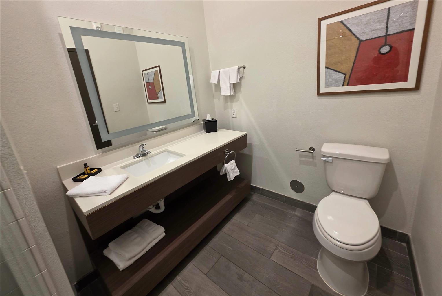 Wingate by Wyndham Austin North - photo 22