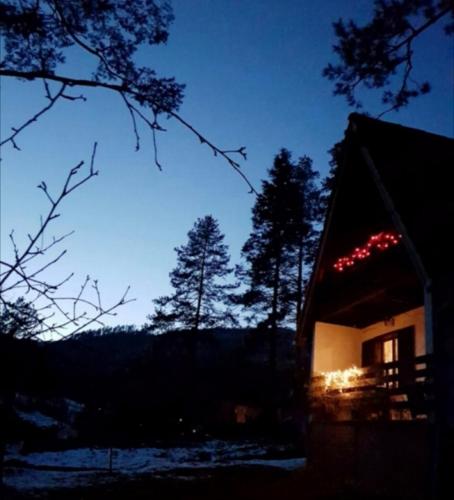 Pine Oasis in Zavidovici, Bosnia and Herzegovina