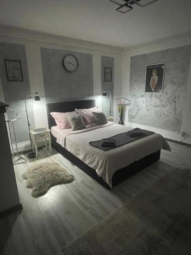 central studio LCS — 4-Star Luxury Hotel in Hunedoara, Romania