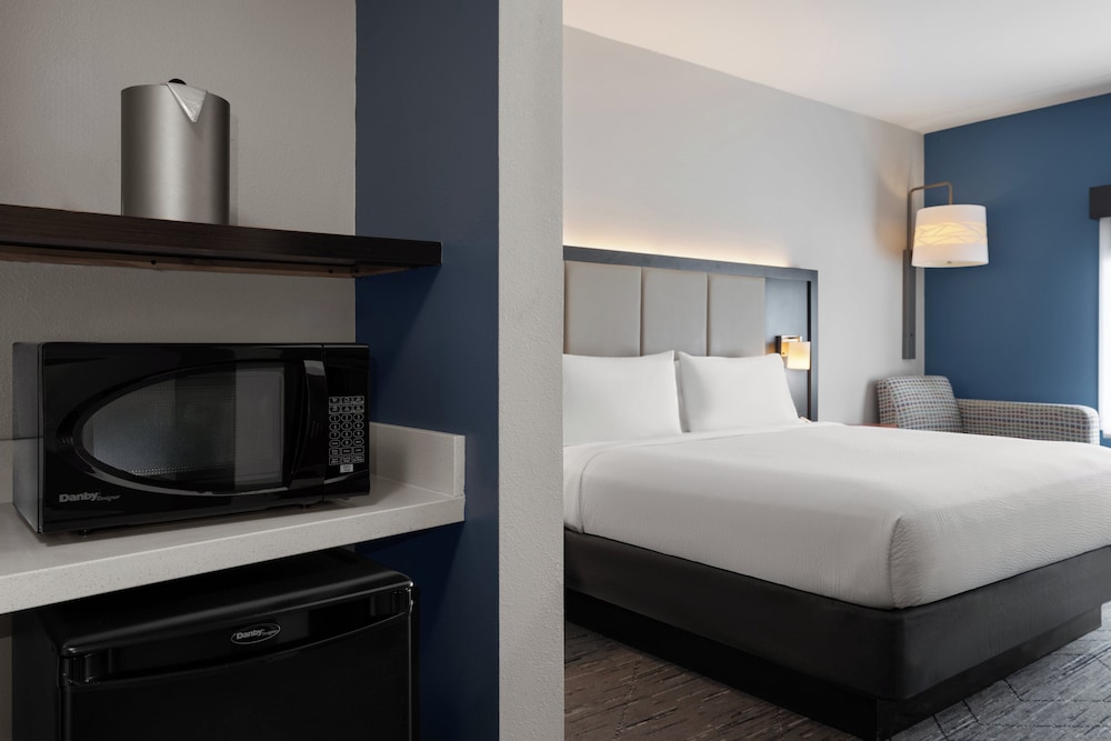 Holiday Inn Express & Suites Tampa East Ybor City by IHG - photo 5
