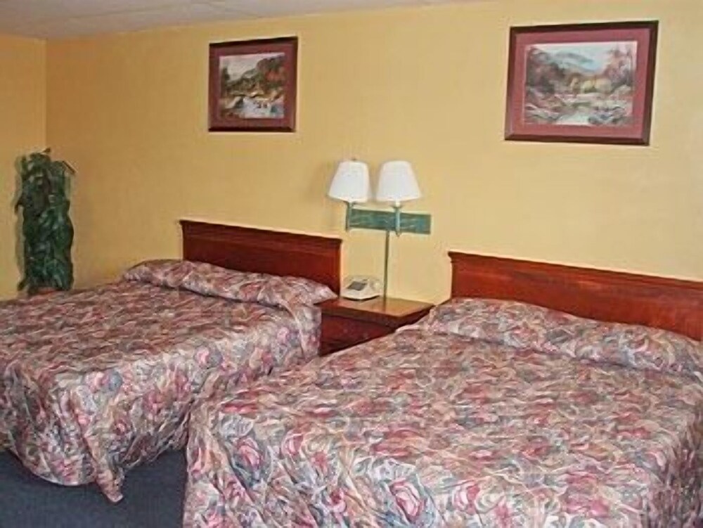 Star Motel - photo 15