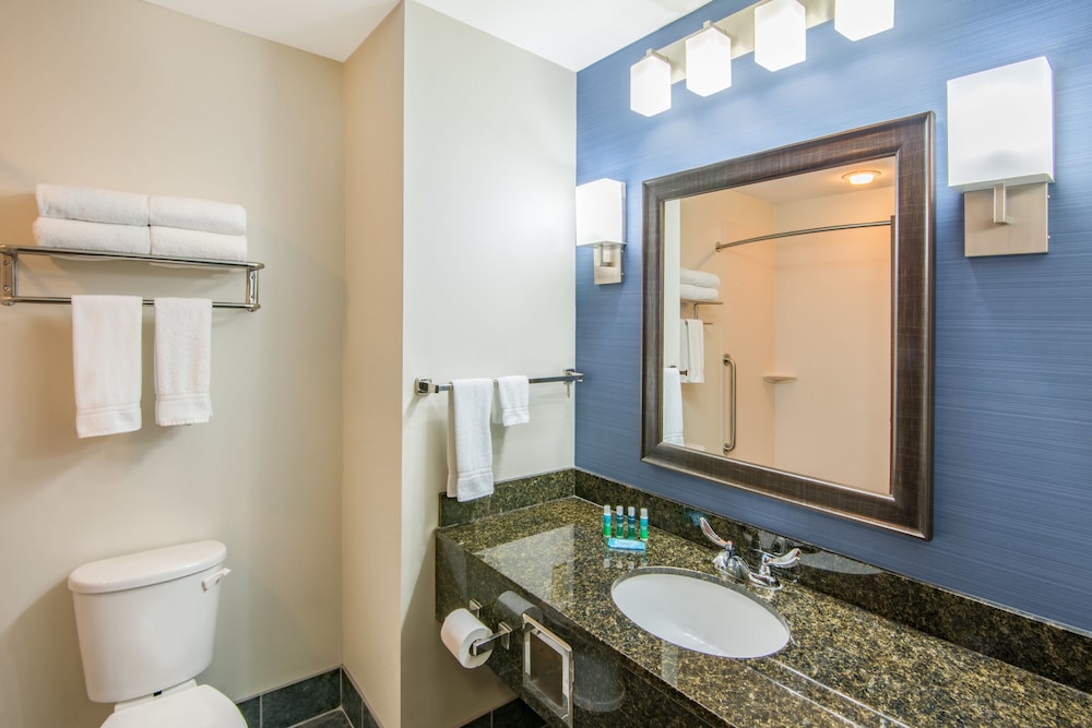 Holiday Inn Express Cleveland Airport Brookpark by IHG - photo 26