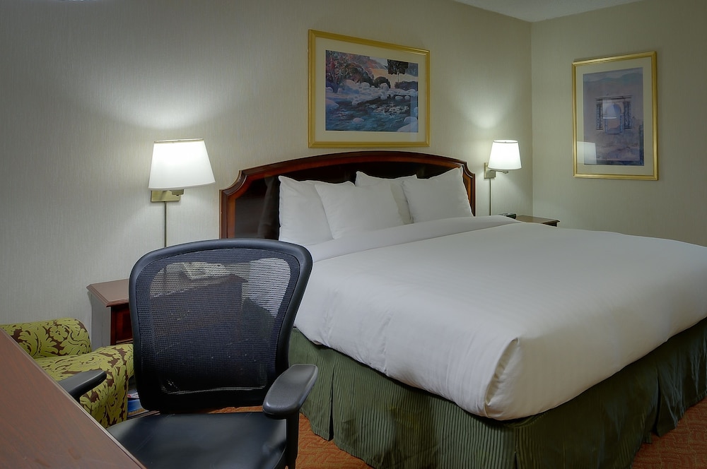 Vagabond Inn Executive San Francisco Airport - photo 4