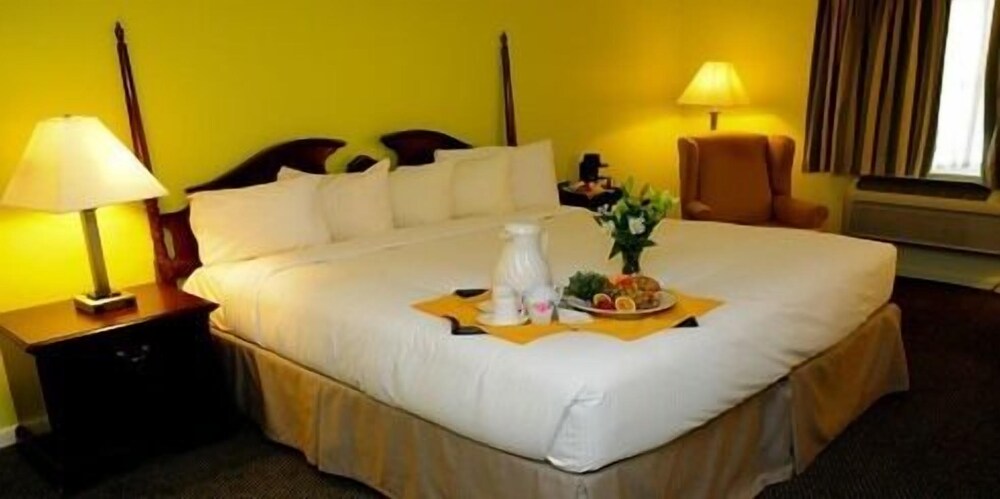 The Inn At Reading - photo 6
