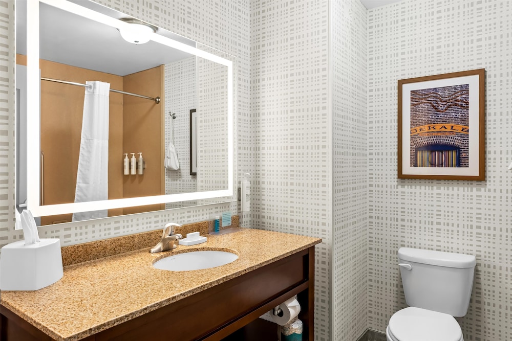 Hampton Inn DeKalb IL - photo 23