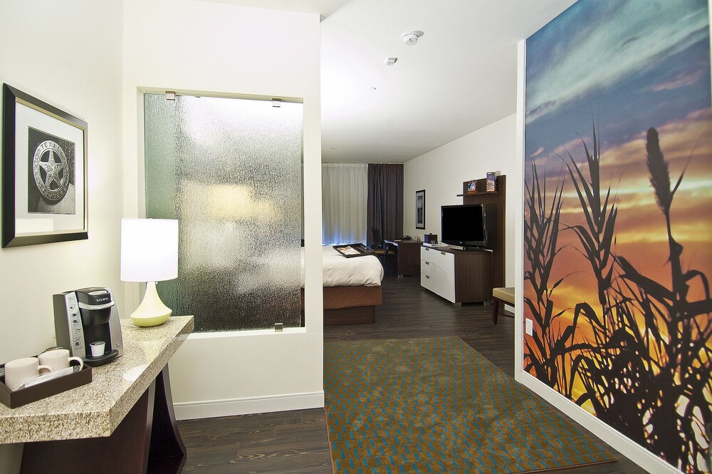 Hotel Indigo Waco Baylor By Ihg - photo 29