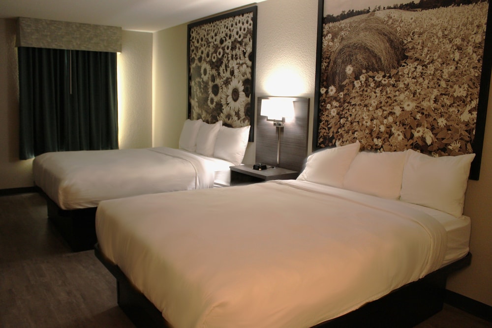 Super 8 by Wyndham Lamar - photo 5