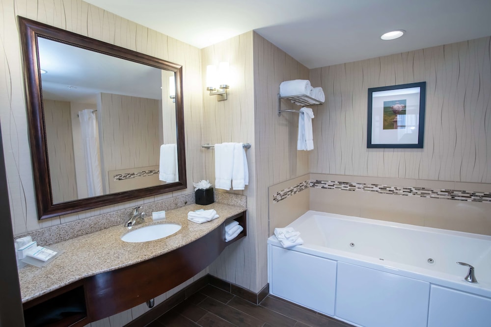 Hilton Garden Inn Dayton South Austin Landing - photo 26