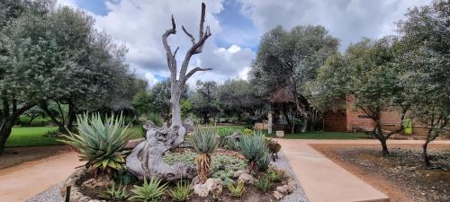 Olienhoff Guesthouse And Rest Camp 17199443 — Otavi