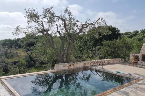 Trullo Piccola Lucertola In Valle D Itria — Ceglie Messapica