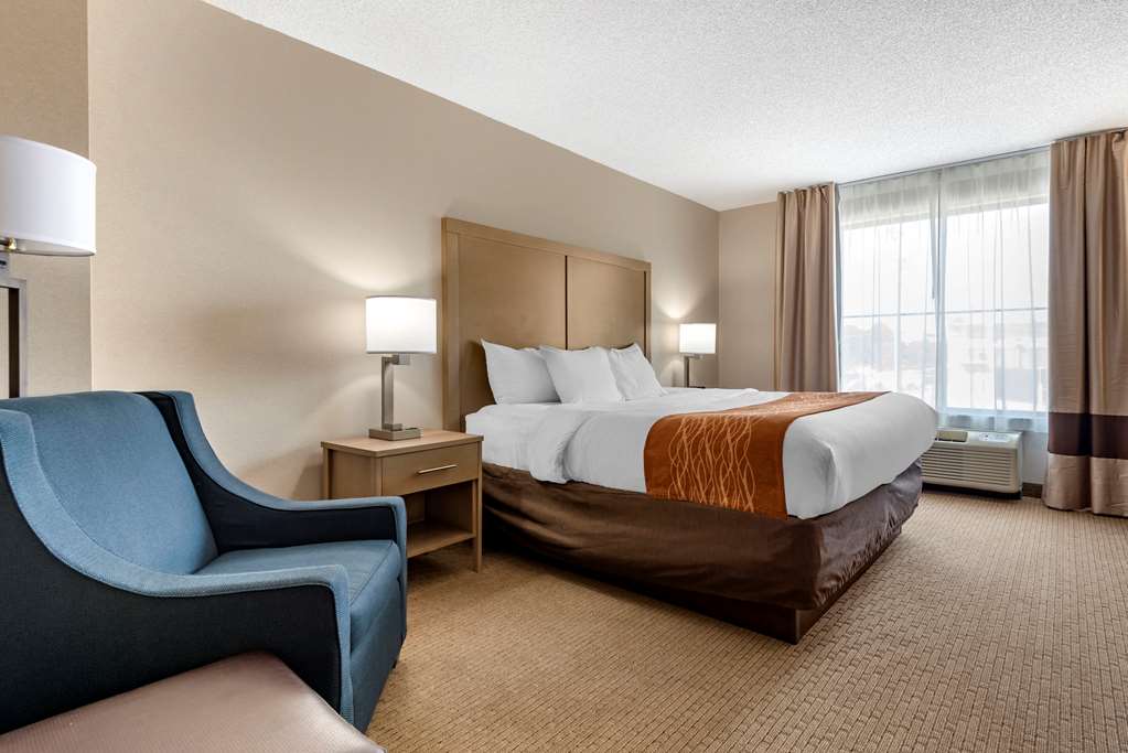 Comfort Inn & Suites Farmington Victor - photo 22
