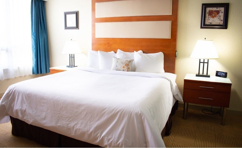Punta Gorda Waterfront Hotel and Suites - photo 12